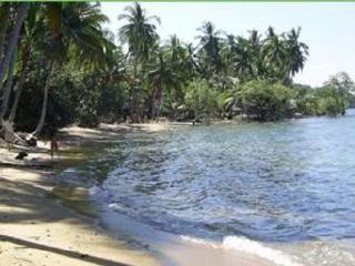 General view thumbnail 56