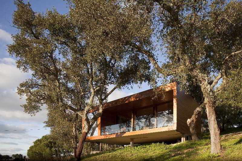 General view
 di Herdade do Moinho Novo