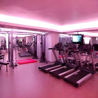 Golden Palas Hotel