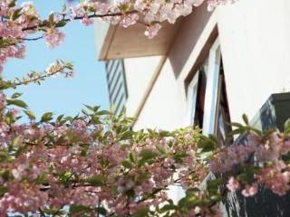 Terrace
 di Central Park Motor Lodge