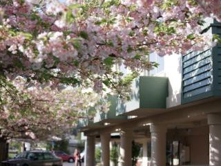 Terrace
 di Central Park Motor Lodge