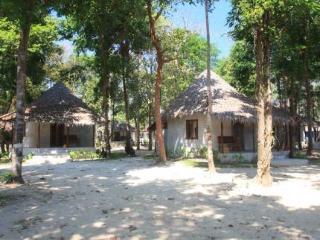 General view thumbnail 46