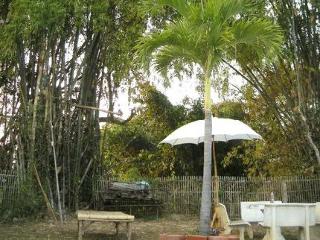 General view thumbnail 26