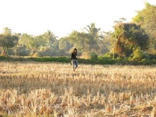 General view thumbnail 41