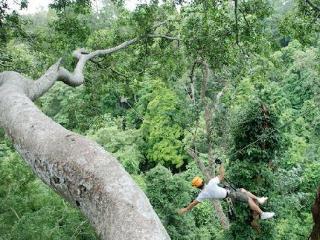 General view thumbnail 49