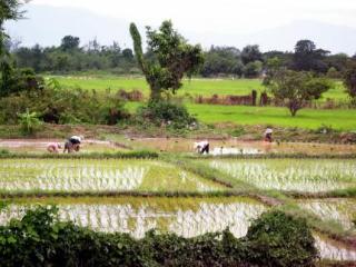 General view thumbnail 55