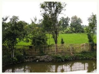 General view thumbnail 118