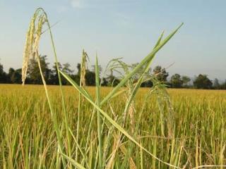 General view thumbnail 119