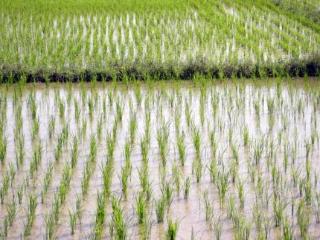 General view thumbnail 146