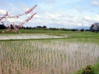 General view thumbnail 147