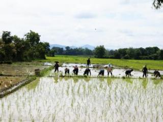 General view thumbnail 149