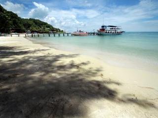 General view thumbnail 29