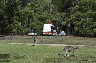 Grampians Motel