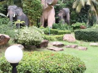 General view thumbnail 30