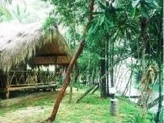 General view thumbnail 84