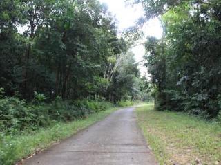 General view thumbnail 111
