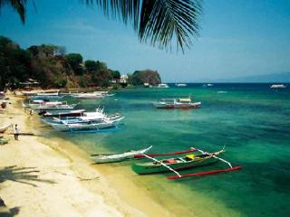 Sports and Entertainment
 di Mermaid Resort