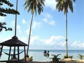 General view thumbnail 19