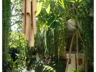 Terrace thumbnail 57