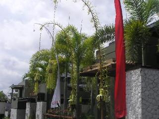 General view thumbnail 11
