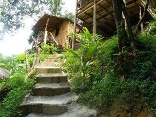 General view thumbnail 8