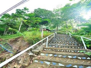 General view thumbnail 13