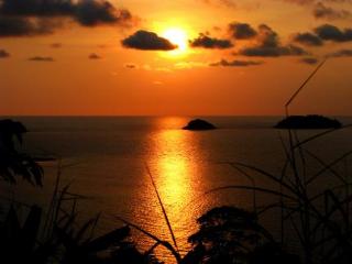 General view thumbnail 24