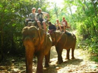 General view thumbnail 26