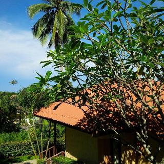 General view thumbnail 57