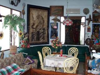 General view thumbnail 7
