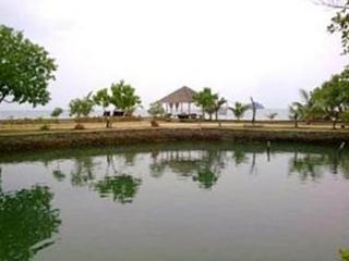 General view thumbnail 2