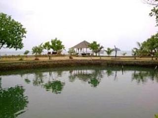 General view thumbnail 4