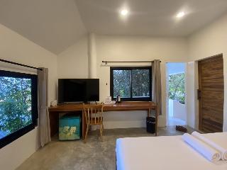 Room Room
