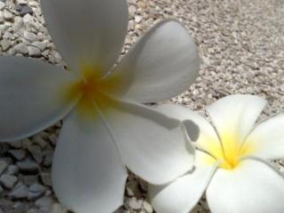 General view thumbnail 10
