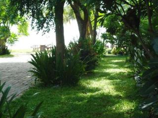 Terrace thumbnail 9