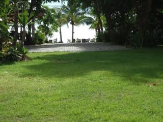 Terrace thumbnail 10