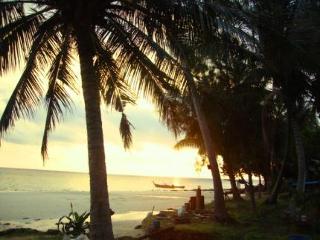 General view thumbnail 17
