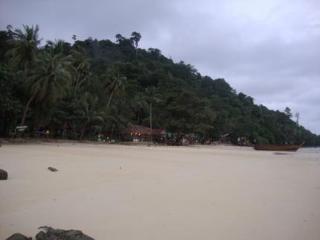 General view thumbnail 29