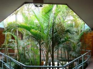 Terrace thumbnail 9