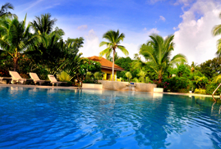 Pool
 di Turtle Bay Dive Resort