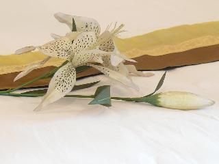 General view thumbnail 27