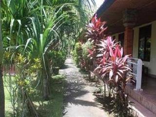 Terrace thumbnail 11