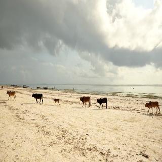 General view thumbnail 169