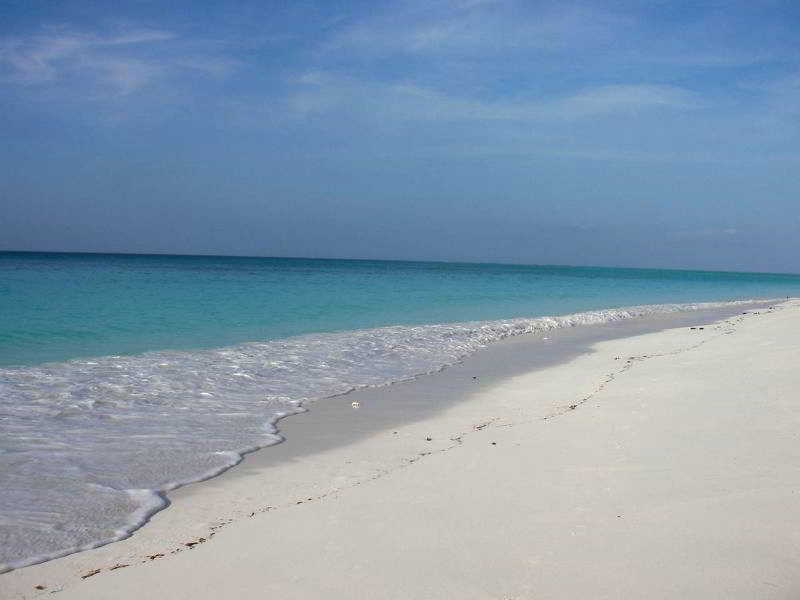 Beach thumbnail 47