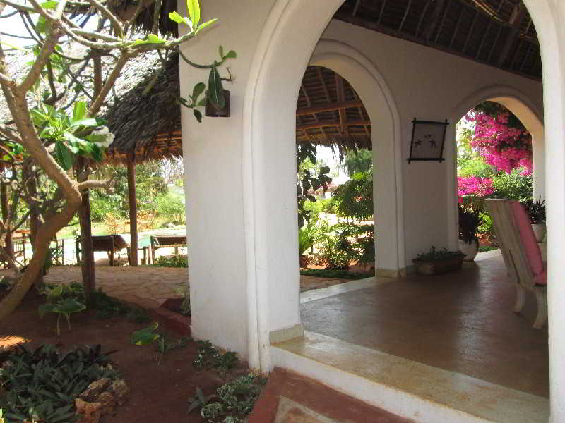 Terrace thumbnail 126
