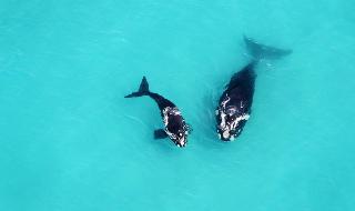 Misty Waves Boutique Hotel Misty Waves Boutique Hotel