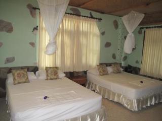 General view thumbnail 42