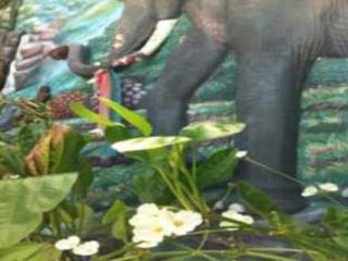 General view thumbnail 6