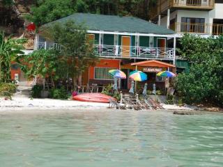General view thumbnail 1