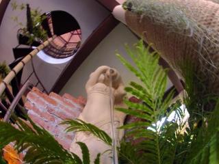 General view thumbnail 15